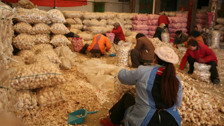 2009：瘋狂的大蒜 價格翻了52倍！